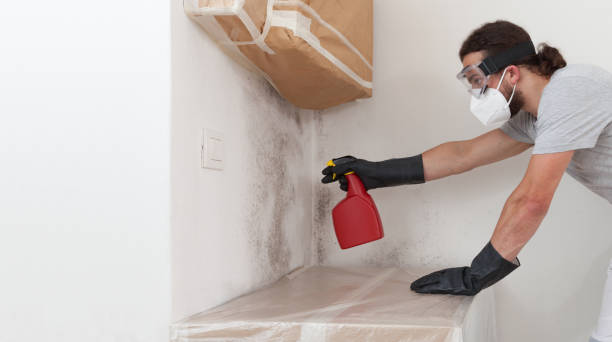 Professional Mold Testing technician working in Leesburg, FL